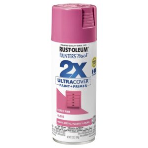 Rust-Oleum 2X Paint and Primer Spray Paint 340G - Gloss Berry Pink